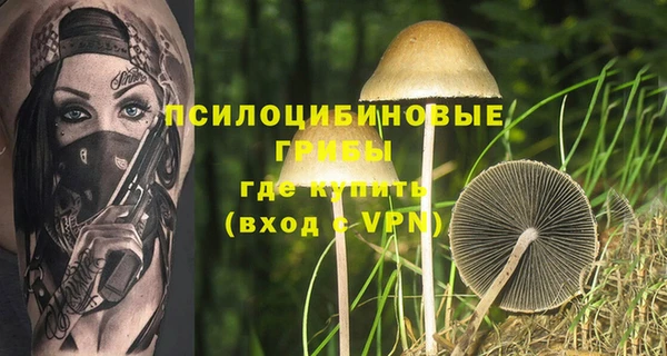 соль ск Бугульма