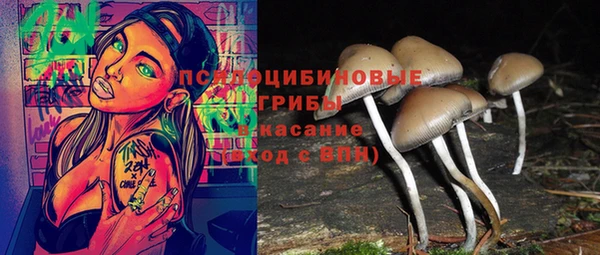 соль ск Бугульма